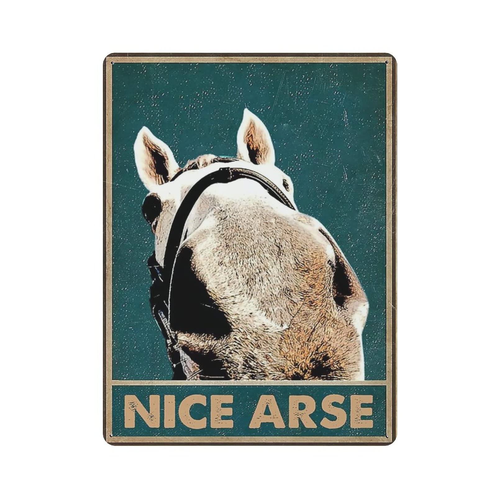 AOOEDM Donkey Nice Arse Metal Signs for Garage Man Cave Bar Kitchen Coffee Tin Sign Nostalgic Wall Decor Signs Vintage Retro Poster