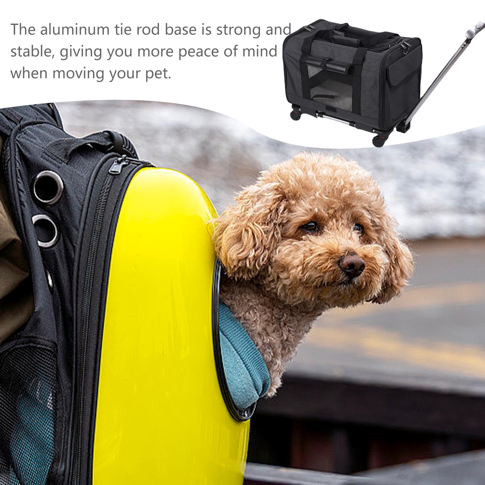 Transportín para Gatos Grande | Transportín para Perros y Gatos pequeños | con Ruedas - de Viaje para Perros pequeños, transportín Suave y Deslizante para Gatos Que Viven en casa,