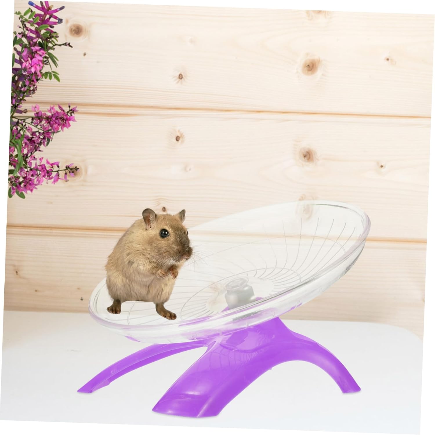 BESPORTBLE 3pcs Silent Hamster Running Wheel Toy Exercise Wheel for Hamsters Gerbils and Pets Interactive Fun for Active Play Transparent Design for Pet Health