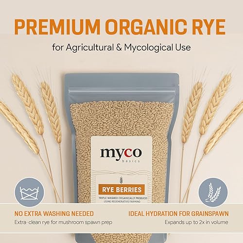Miniatura 7 de Mycology Basics - Bayas de centeno para engendro de hongos  Grano de centeno orgánico triple lavado para hacer granos de setas, 5 libras