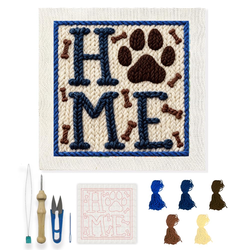 INFUNLY Home - Kit de agujas de perforación, 7.8 x 7.8 pulgadas, kit de bordado de agujas de perforación, kit de costura para principiantes, con hilos de instrucciones para Navidad, cumpleaños