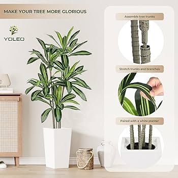 Amazon.de: YOLEO Kunstpflane Drachenbaum 160cm, Knstliche Pflanzen Gro,  mit weiem Topf, Kunstbaum, Plastike Pflanze, Realistische Dracaena fr  Wohnzimmer, Bro, Garten, Indoor Dekor, Housewarming Geschenk