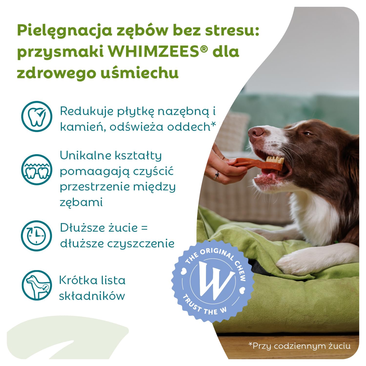 WHIMZEES Szczoteczka M, Opakowanie Miesięczne, 30 Sztuk – Rozmiar M, Gryzaki Dentystyczne dla Średnich Psów, Naturalne, Bezzbożowe, Bez Dodatku Cukru