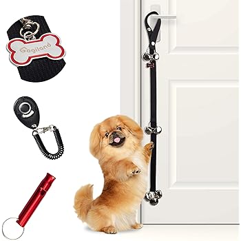 paper training a puppy to go outside