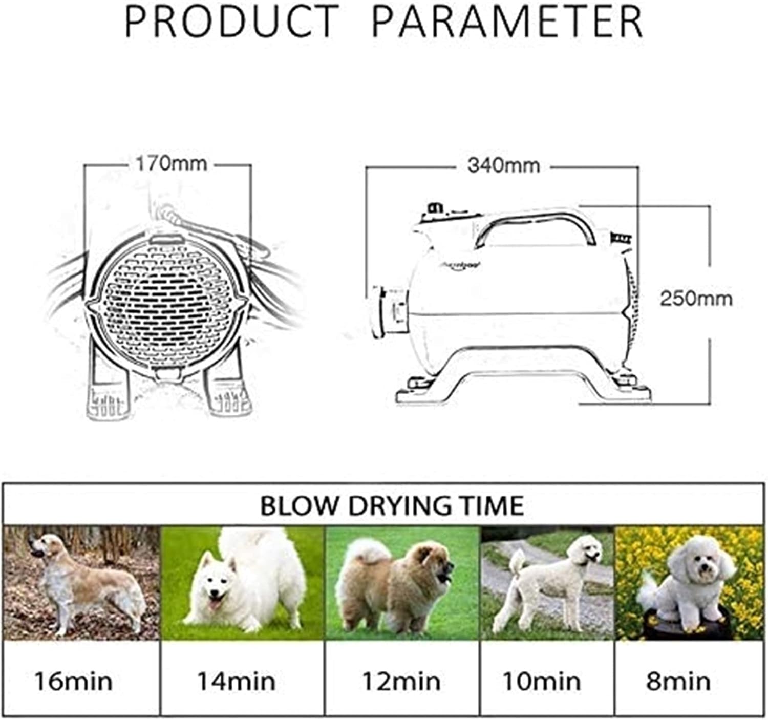 Dual-Motor pet Water Blowing Machine for Cats and Dogs high-Power Silent Blowing Dryer for Large Medium and Small