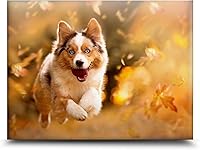 skyDrama 16x20 Custom Canvas Prints: Personalized Photo Wall Art, Fade-Resistant Keepsake Gifts