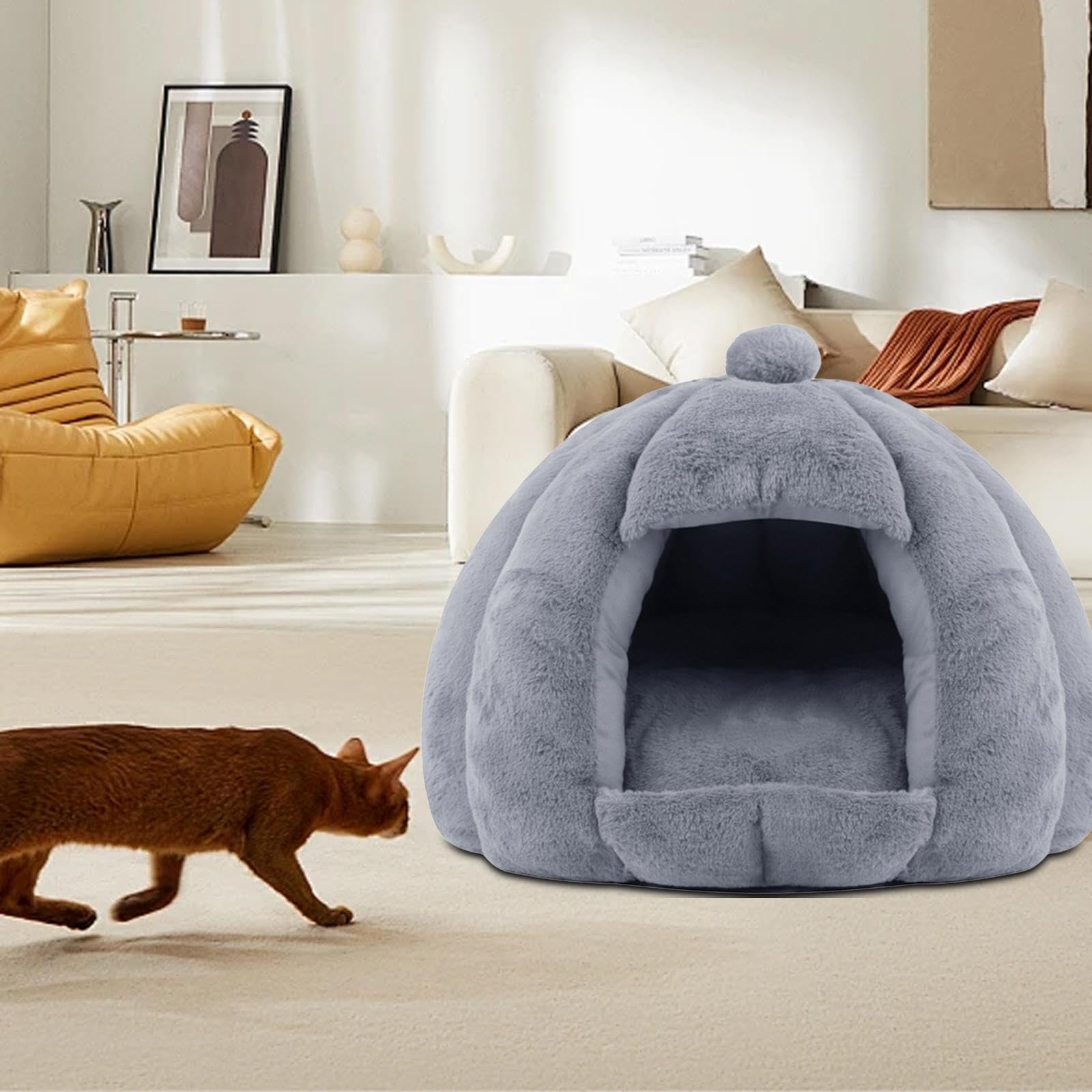 Classifica 10 Migliori Casetta Per Gatti Da Interno Da Acquistare Online