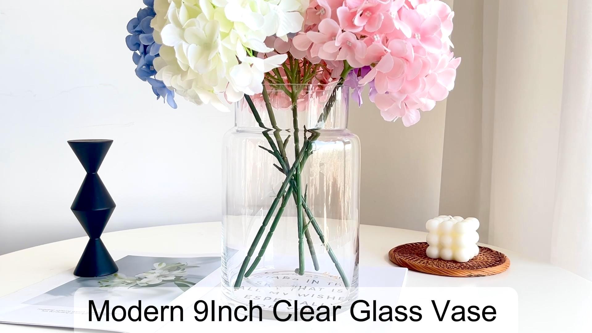 Amazon.com: BLOFLO Clear Glass Vase, 9 Inch Large Glass Vase for