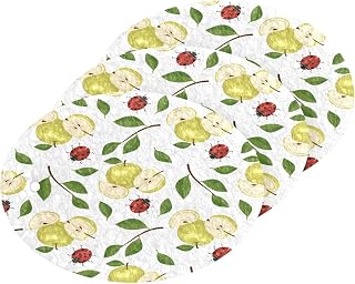Ladybug Fruits Leaves Kitchen Sponges Cleaning Dish Sponges Non-Scratch Natural Scrubber Sponge for Kitchen Bathroom Cars, pack of 3