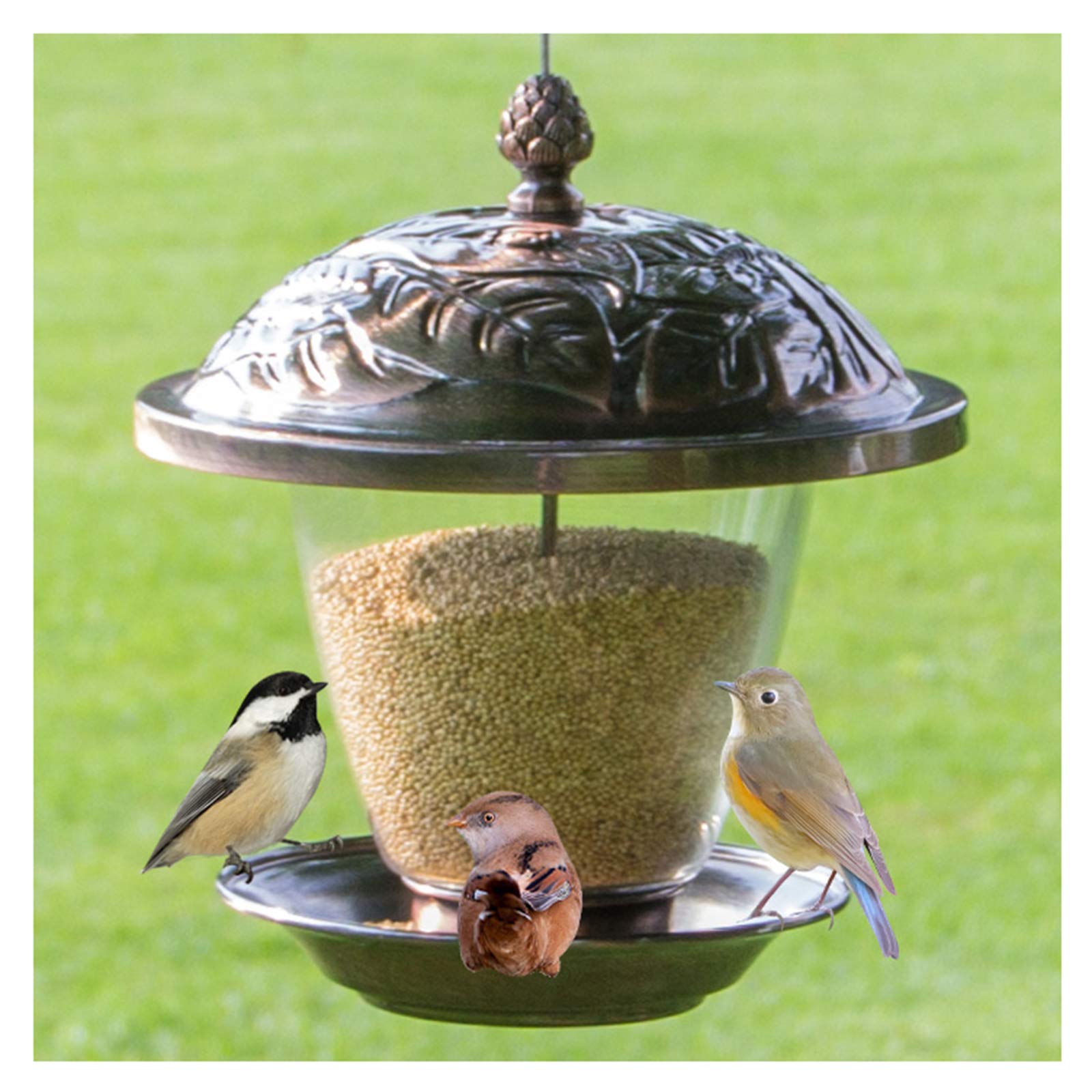 Aimerizzatori di uccelli appesi, alimentatori di uccelli del gazebo di panorama e decorazione del giardino per gli osservatori e i bambini dell'uccello, giardino del giardino esterno, con il tetto