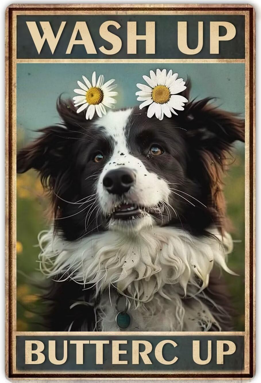 Anceky Border Collie Bathroom Canvas Wall Art Wash Up Buttercup Print Painting Modern Canvas Wall Art For Living Room Farmhouse Wall Decor Vintage Bathroom Decor Unframed 12x16 Inch