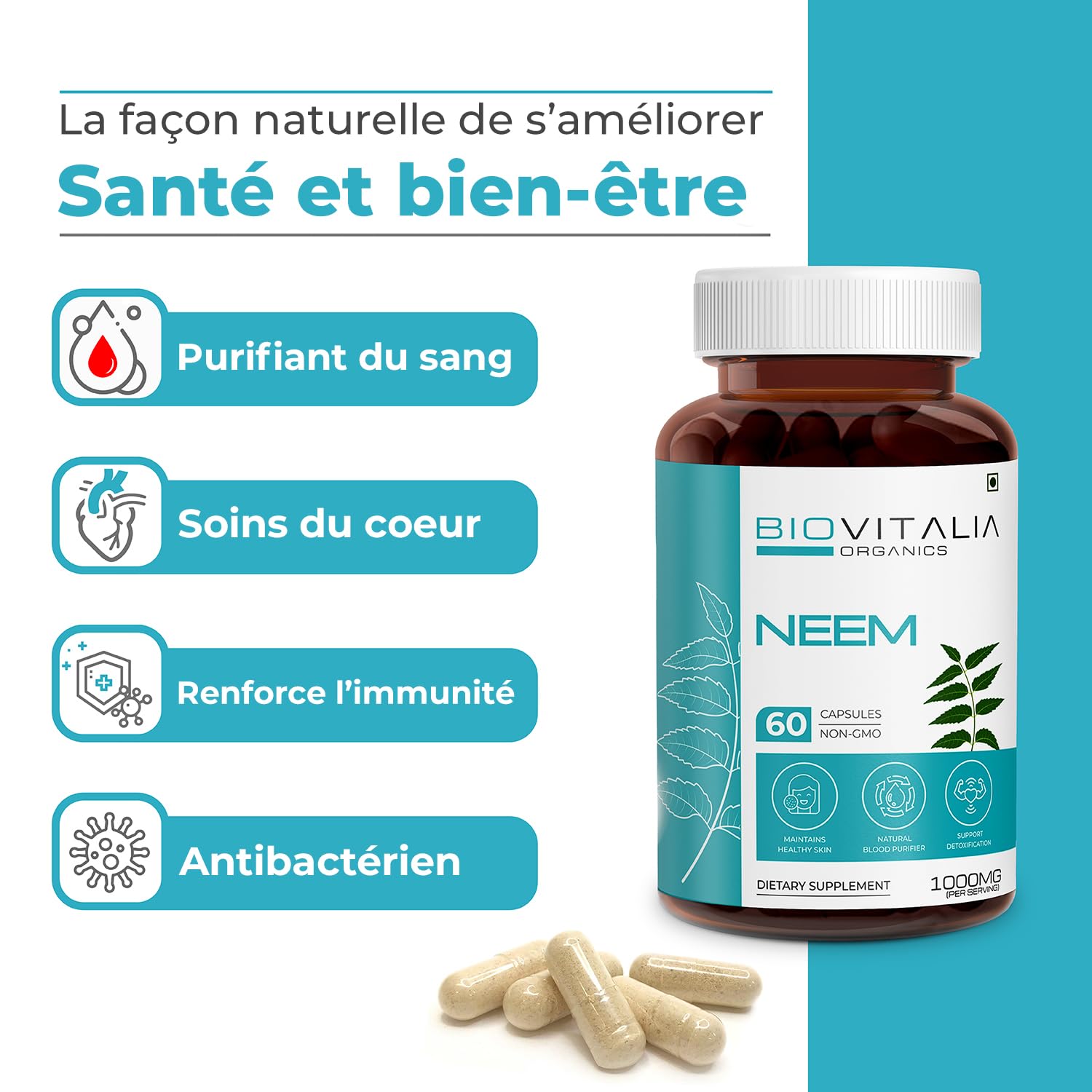 Capsule de Neem 1000 mg à base de plantes pour hommes et femmes | Complément alimentaire | Soutenir une peau saine | Soutient la détoxification - 60 capsules végétaliennes