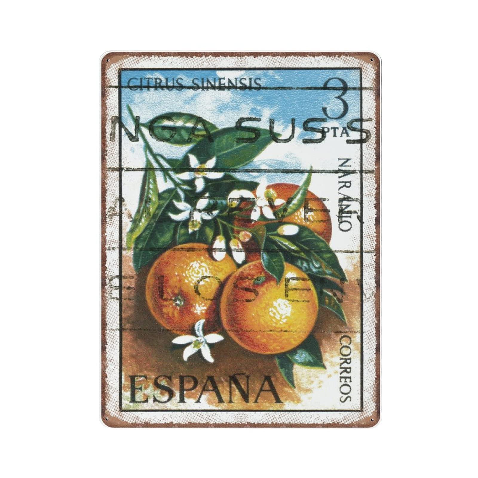 Daiercy Material_tin 6 Spanish Art Botanical Tin Signs, Food Art And Fruit Art Funny Vintage Metal Sign Plaqu Poster Wall Art Pub Bar Kitchen Garden Bathroom Home Decor, 30X40 Cm