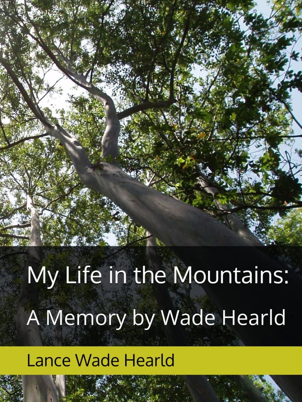 My Life in the Mountains:: A Memory by Wade Hearld