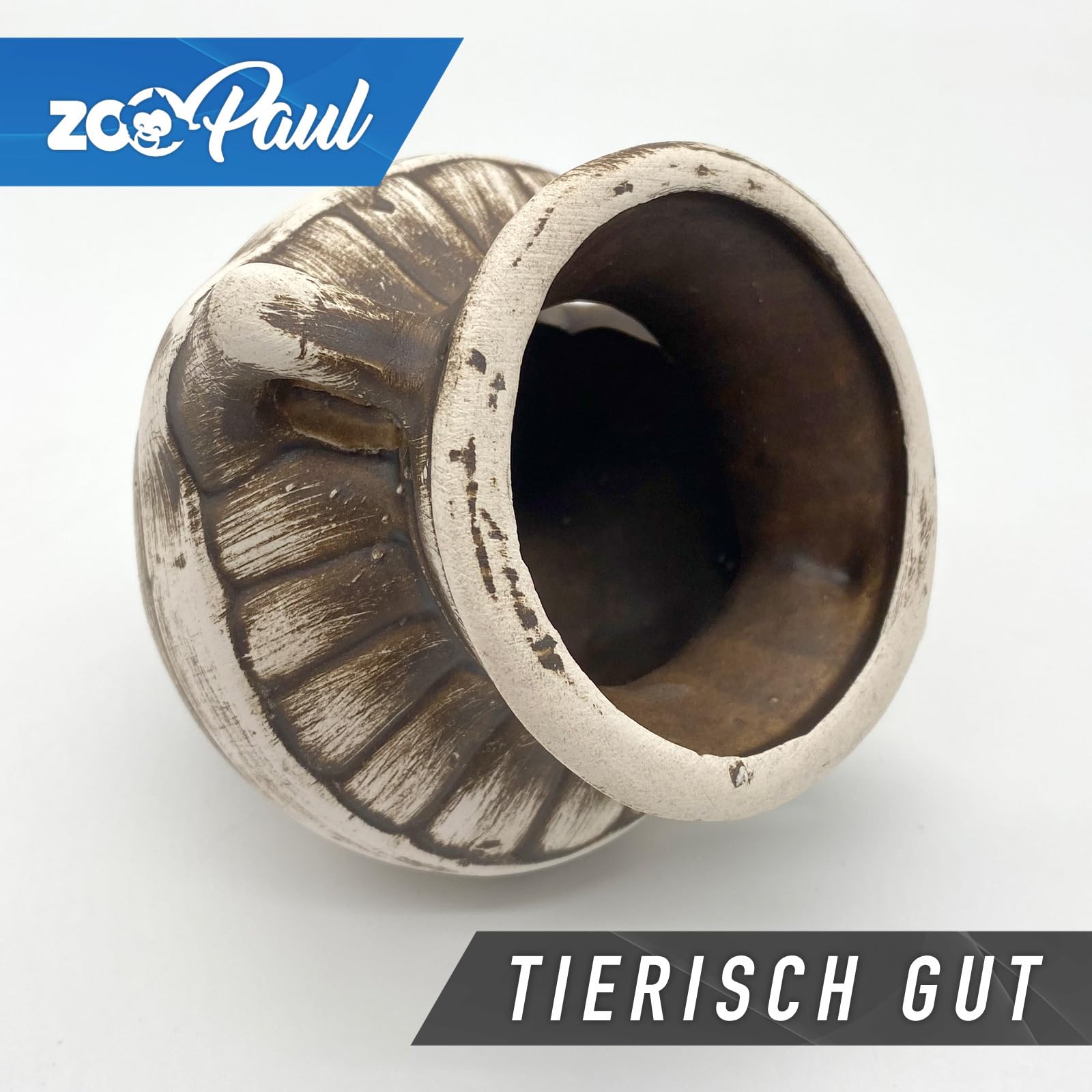 ZooPaul Sprudel Set Keramik Deko und Pumpe + Zubehör Aquarium römische Vase Gefäß Versteck