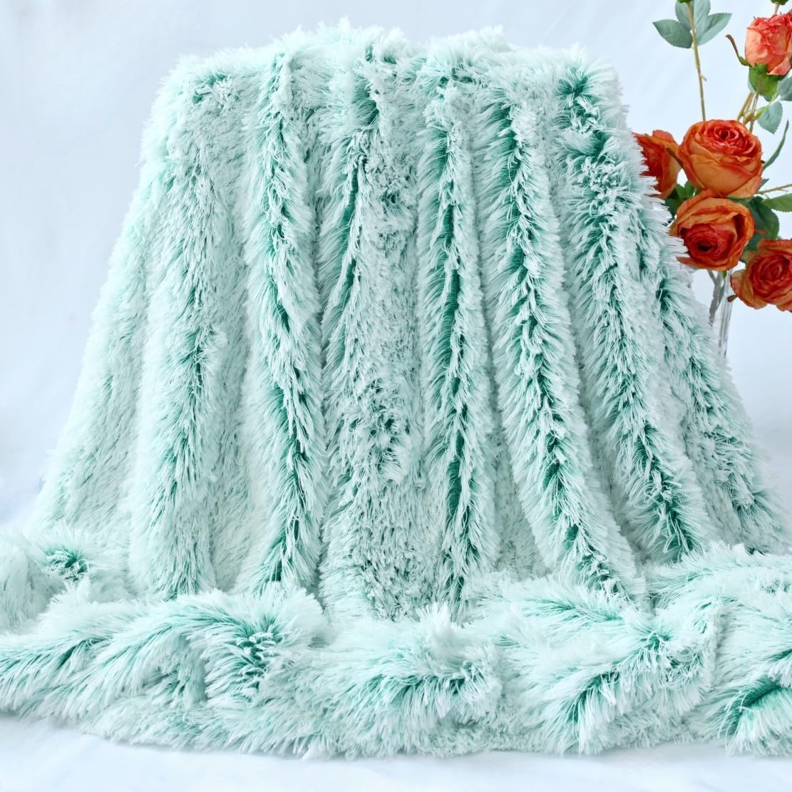 Plush Super Soft Blanket Bedding Sofa Cover Furry Fuzzy Fur Warm Throw Qulit Cozy Couch Blanket for Winter (51"x63",Green and White)