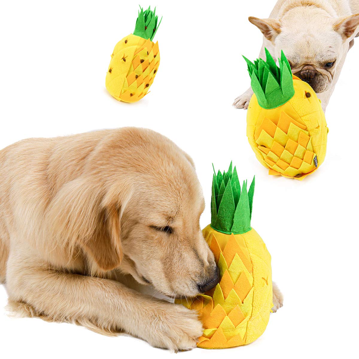 Can Cats And Dogs Eat Pineapple