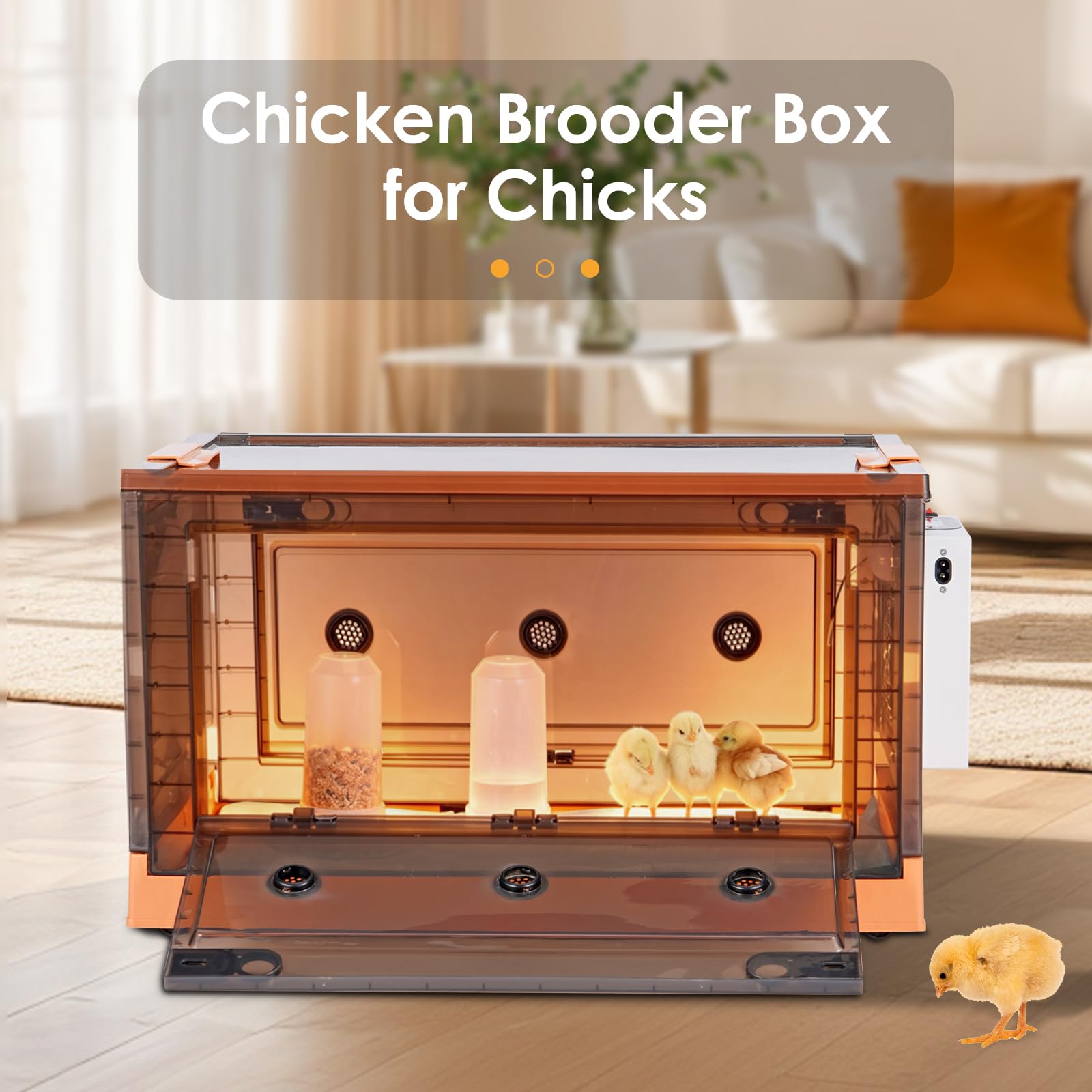 Kit de Caja de cría de Pollitos con calefacción de gallinero, Placa de Calor, Caja de cría de Polluelos, Temperatura Ajustable, Placa calefactora para gallinas, incubadora para Aves, Patos