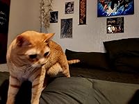 Review Image by Andrew Benassi Andrew Benassi