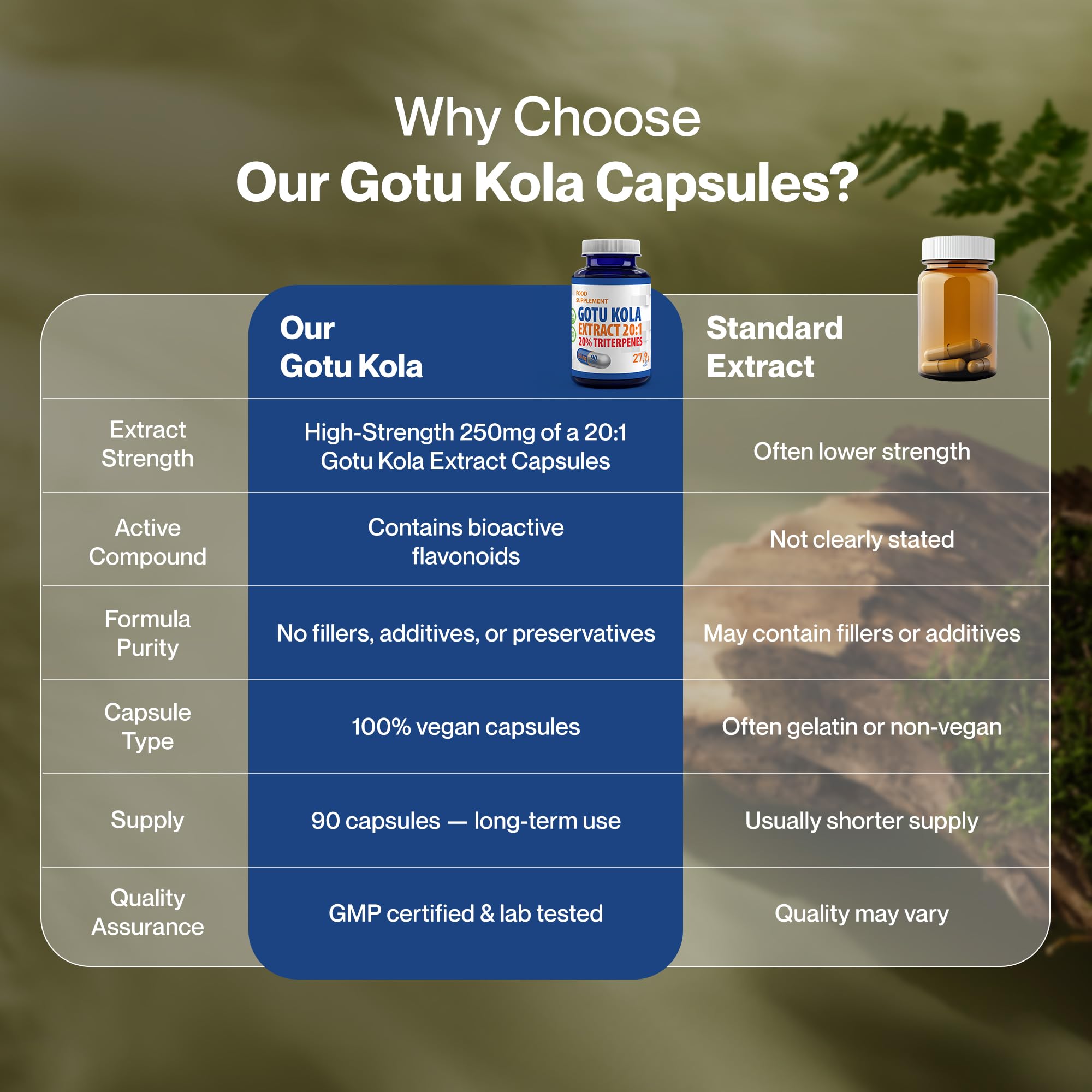 Hepatica Gotu Kola (Centella Asiatica) 5.000 mg Equivalente | Estratto 20:1 da 250 mg Standardizzato al 20% di Triterpeni | 90 Capsule Vegane | GMP & laboratorio indipendente