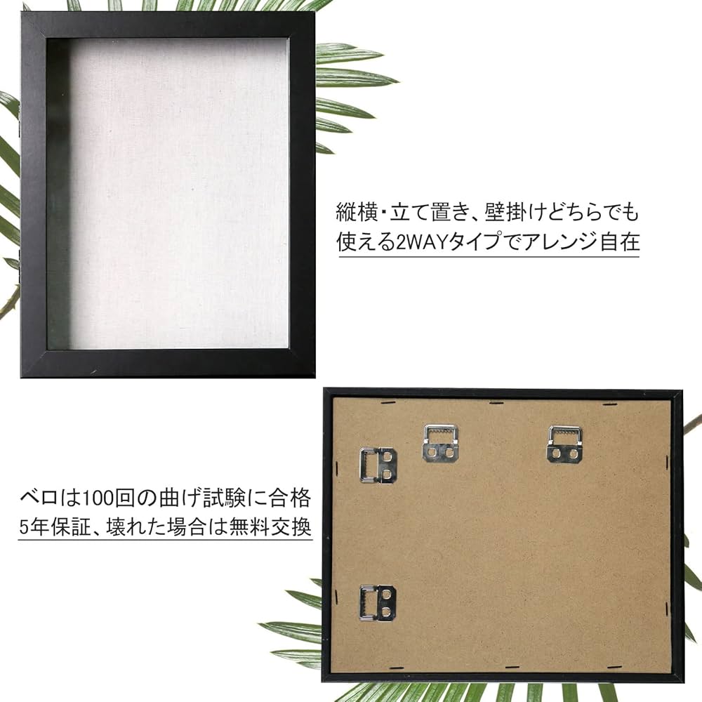 Amazon.co.jp: Telarana 額縁 写真立て フォトフレーム 標本箱