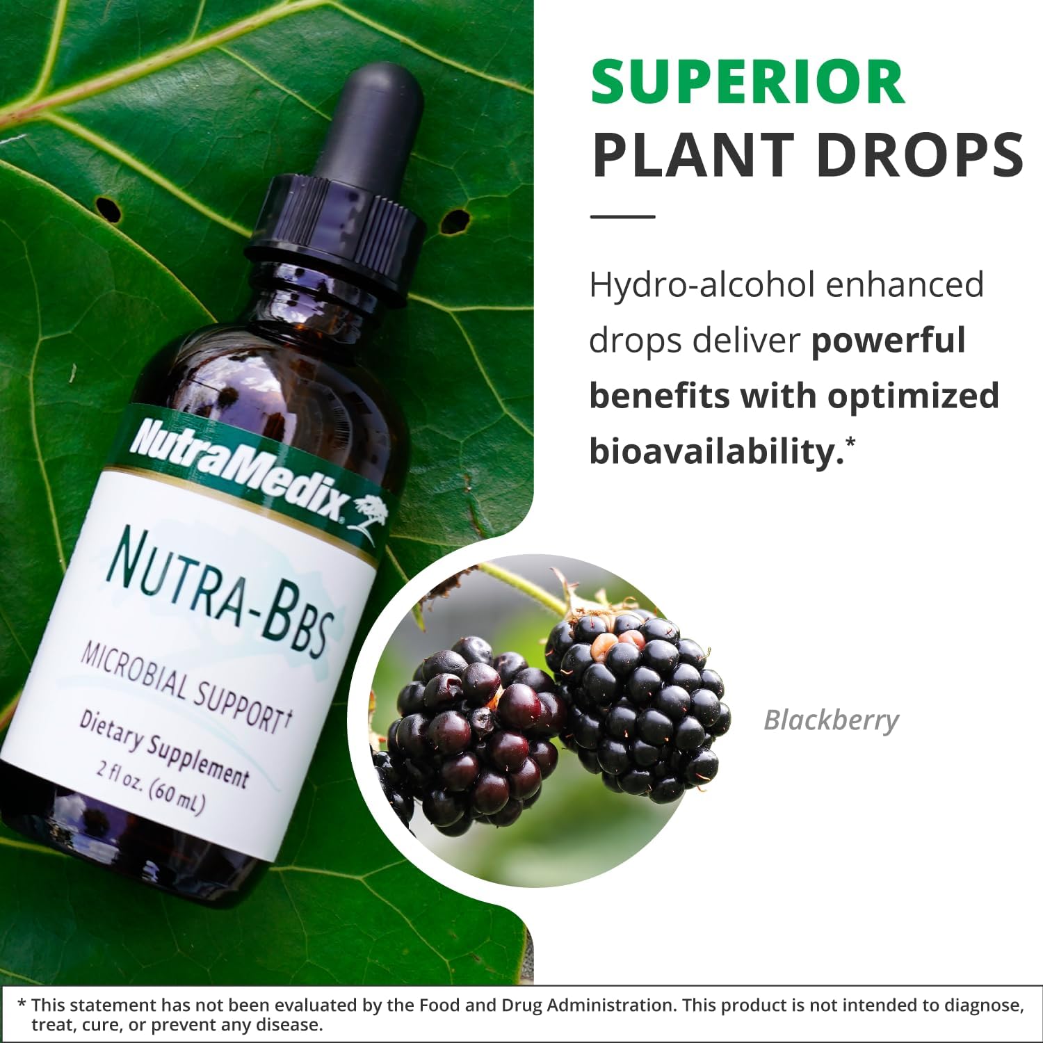 Nutramedix Nutra BBS - Liquid Herbal Supplement for Digestive & Immune Support - Elecampane Root & BlackBerry Leaves Extract for Gut Health - Immunity Booster Supplement (60mL) - Image 5