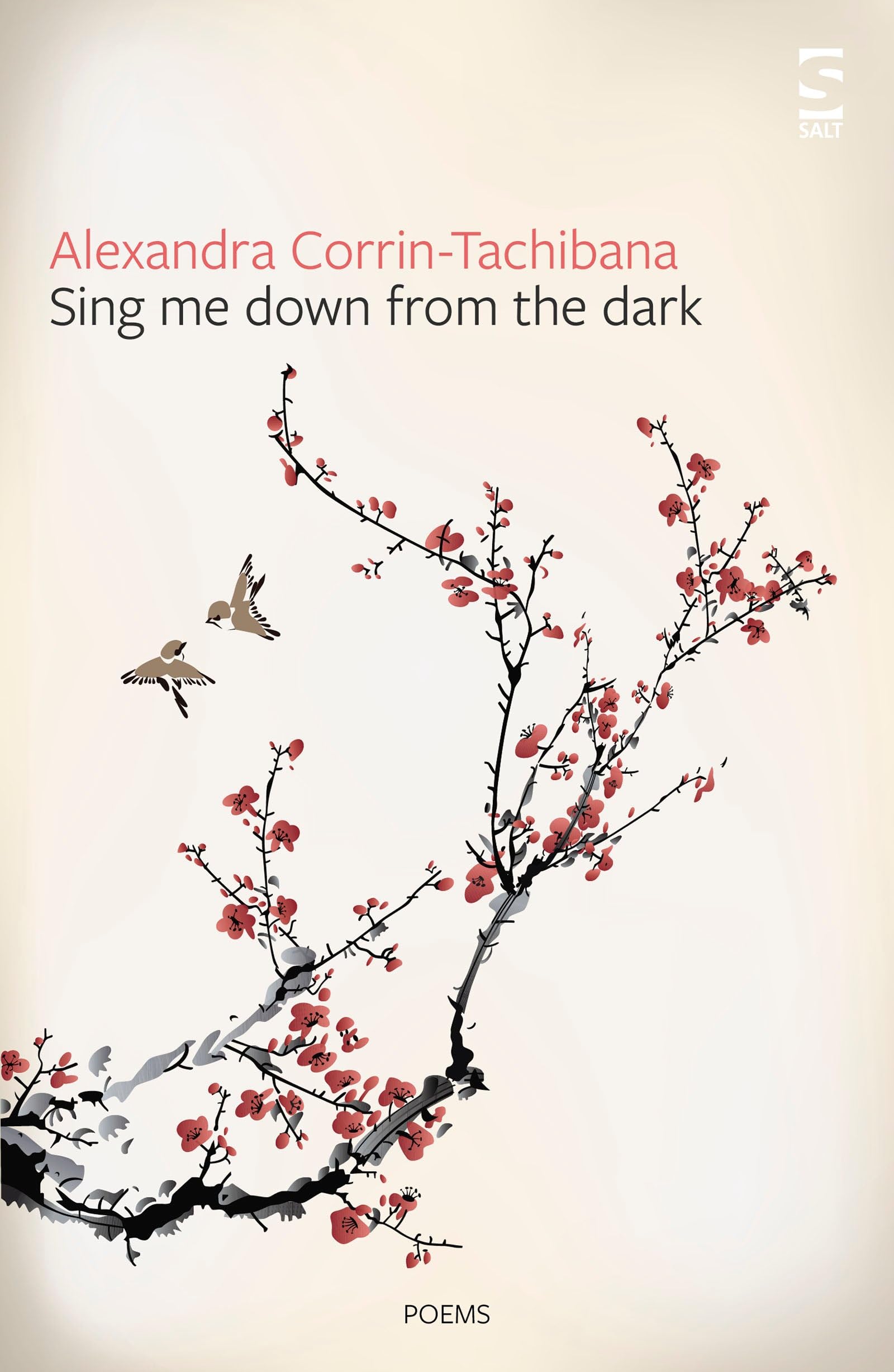 Sing Me Down from the Dark by Alexandra Corrin-Tachibana - 9781784632762