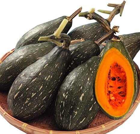 Amazon 国華園 実生野菜苗 カボチャ F1ウルトラ万次郎かぼちゃ 3株 21年春商品 Diy 工具 ガーデン