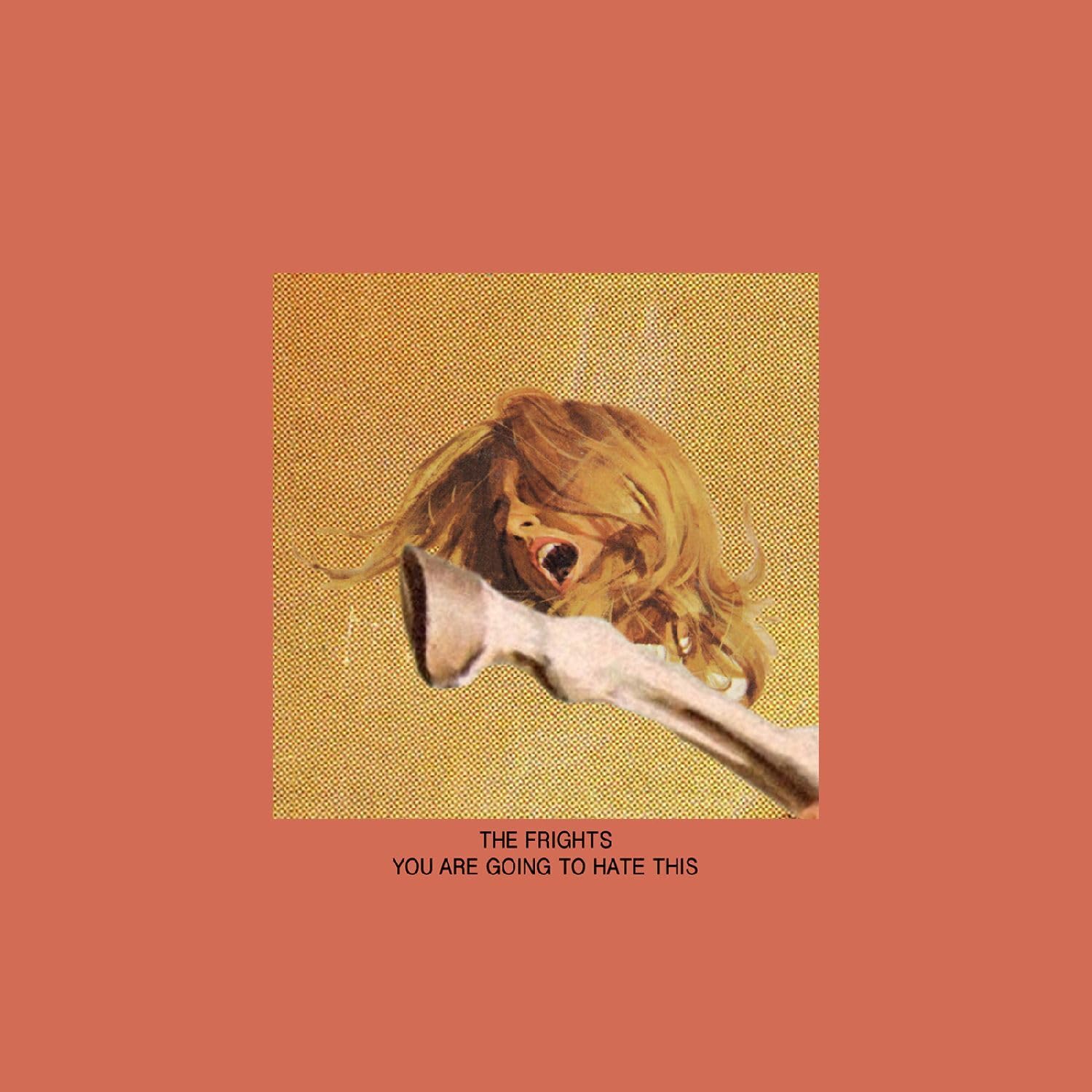 You Are Going To Hate This [VINYL]