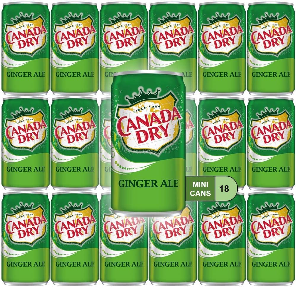 Ginger Ale Mini Soda Cans, 7.5 oz Soft Drinks Bulk Snacks Pack, Small Refrigerator & Snack Pantry Drink 18 Count Beverage Kitchen Supplies
