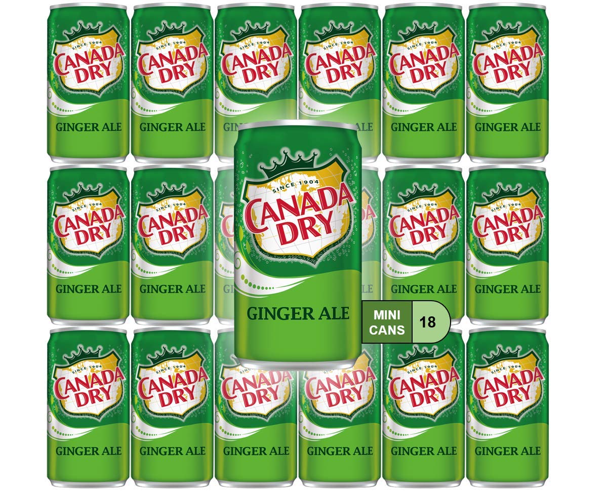 Ginger Ale Mini Soda Cans, 7.5 oz Soft Drinks Bulk Snacks Pack, Small Refrigerator & Snack Pantry Drink 18 Count Beverage Kitchen Supplies