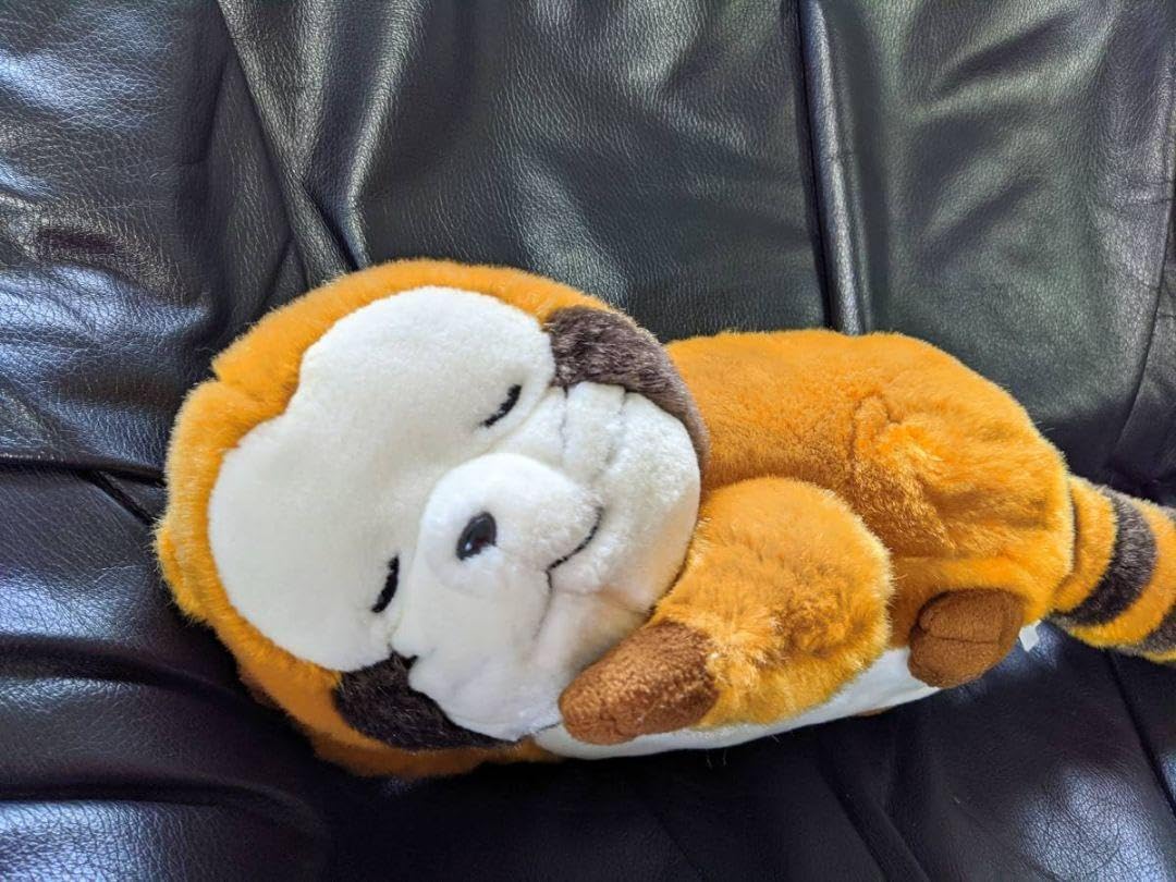 Amazon.co.jp: あらいぐまラスカル おやすみラスカル ぬいぐるみ