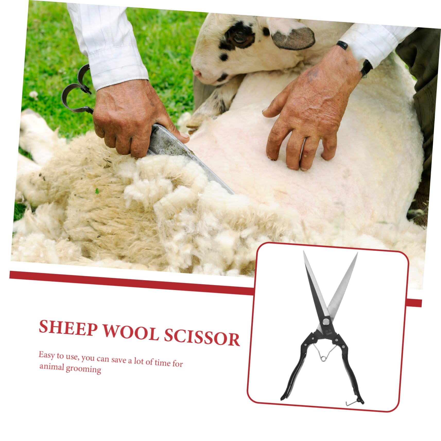 TOYANDONA 1 Set per Tosatura Animali Carbonio Strumento Manuale per Tosare e Bestiame per Operazioni Agricole e Toelettatura Professionale