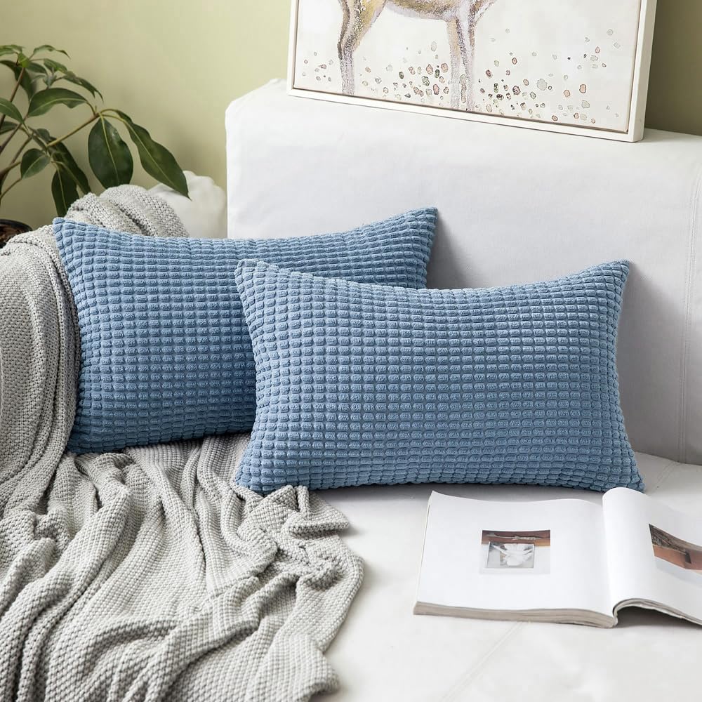 Amazon.com: MIULEE Pack of 2 Lumbar Pillow Covers 12x20 Inch