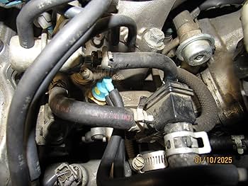 その他 Pocas Poilabras Maison MIHARA YASUHIRO ONLINE STORE（ミハラヤスヒロ