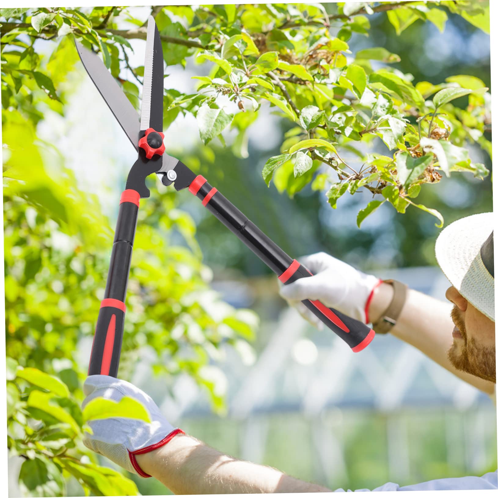HEMOTON Cesoi Per Potatura Attrezzi Da Giardinaggio Per Siepi Cesoie Manuali Per Arbusti e Piante Ornamentali Realizzate in Acciaio e Gomma Impugnature Ergonomiche Antiscivolo