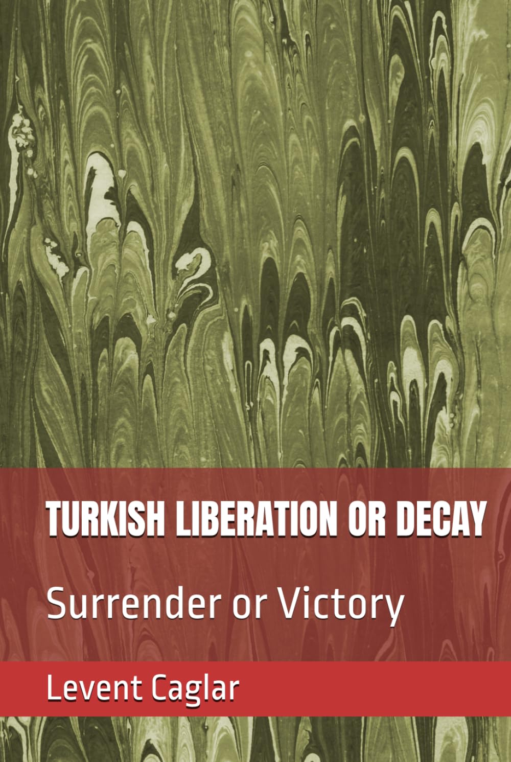 TURKISH LIBERATION OR DECAY: Surrender or Victory (TÜRKİYE'S LOST CENTURY)