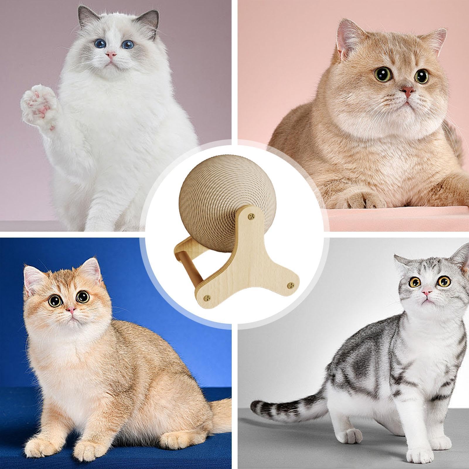 Ruota per Esercizi per Gatti - Sfera per Graffiare con Base Stabile, Dispositivo di Felino Interattivo, Istruttore di Attività Supportate dalla Trazione, Dispositivo di Arricchimento Dure