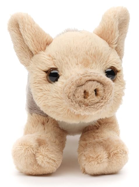 Uni-Toys - Plushie - 15 cm (Longitud) - Cerdo de Peluche, jabalí - Peluche