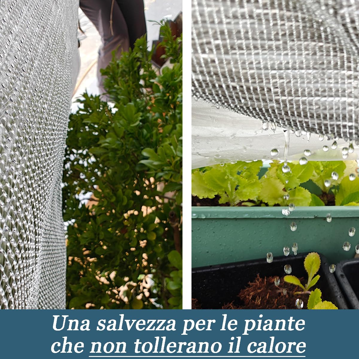Telo Ombreggiante Riflettente BeGrit 2x3m 55% Alluminio: Rete Protezione Solare Con Occhielli Per Auto, Piante, Balcone E Campeggio - 2