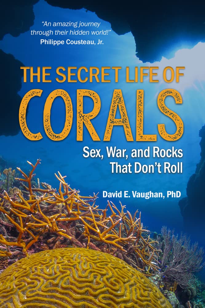 The Secret Life of Corals by David E. Vaughan - 9781604271881