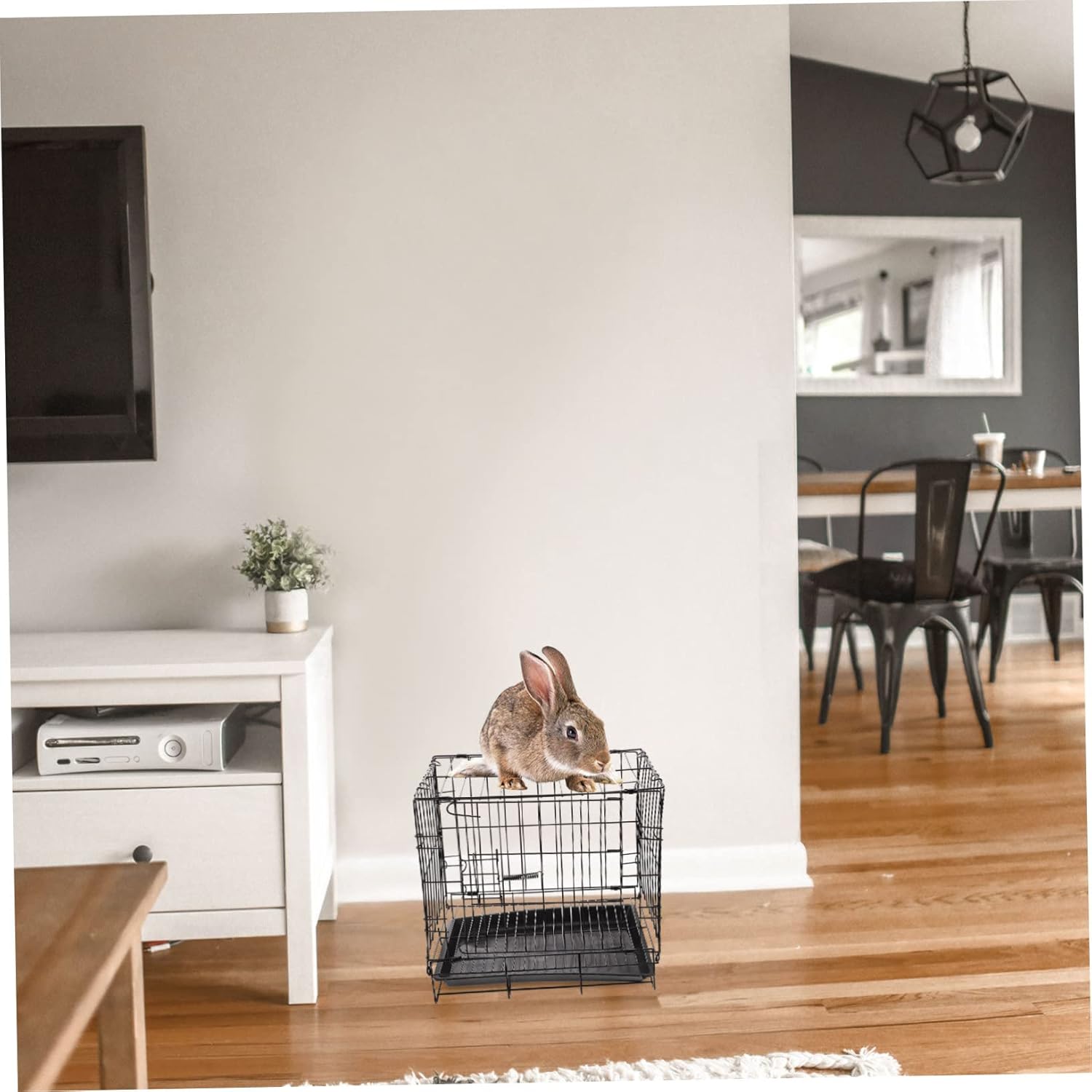 Wire Dog Crate Pet Crate Large Size Easy to Open Door for Paws Removable and Washable Base