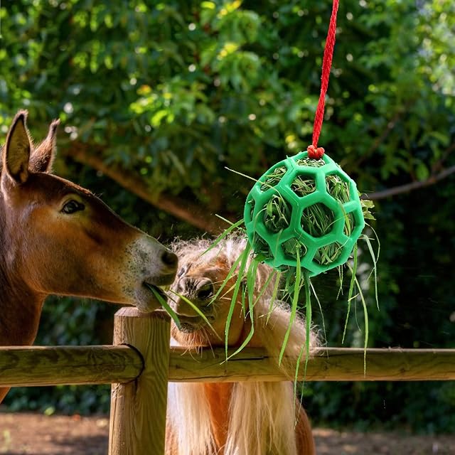 Foto 5 de 7 de Besimple Comedero de heno para caballos, bola de cabra, para colgar, para caballos, cabras, ovejas