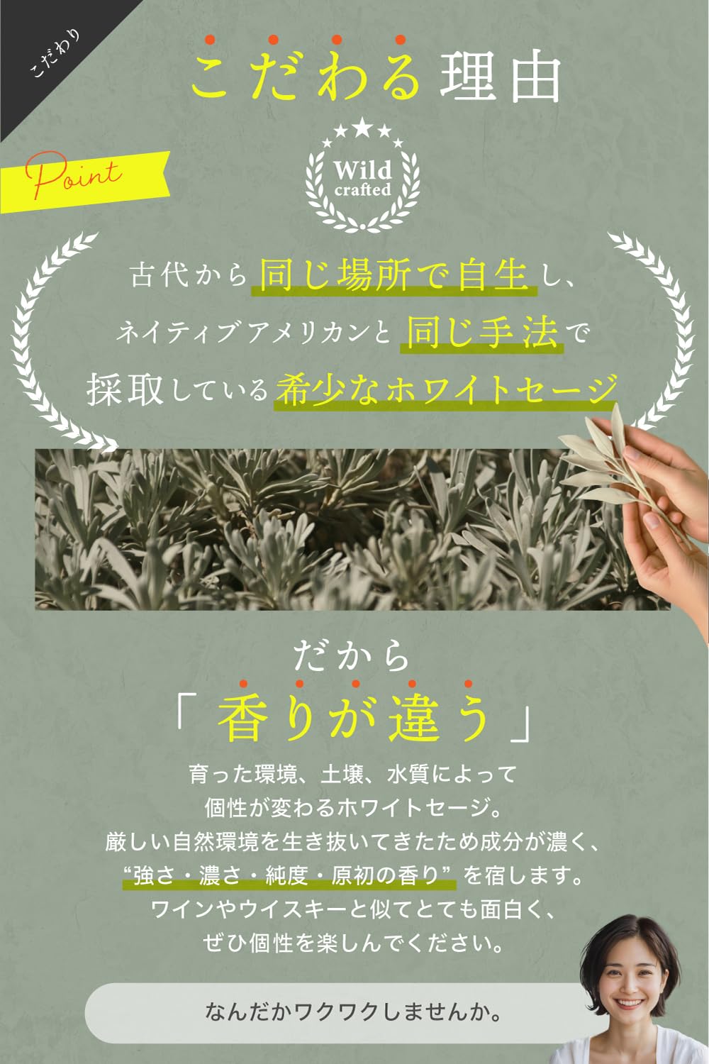Amazon.co.jp: 【本物の浄化力】imin ホワイトセージ 野生