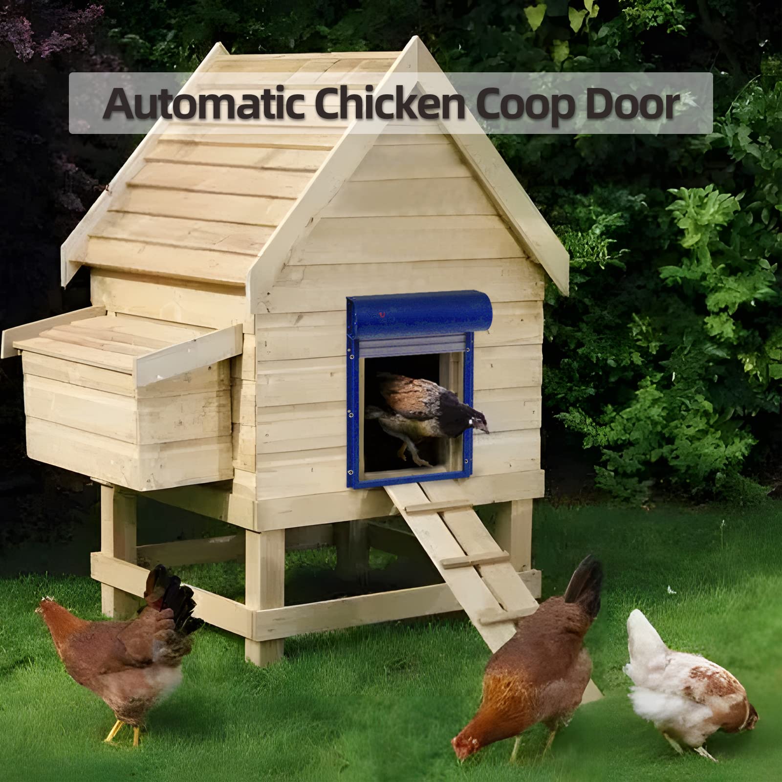 Porta Automatica per pollaio, Porta Automatica per polli con Controllo Timer, Controllo Manuale e Controllo Solare, Porta per pollaio, apriporta per polli per Fattoria, Giardino, Patio (Blu)
