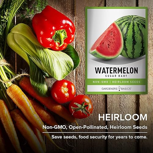 Miniatura 7 de Gardeners Basics, Semillas de sandía para plantar, variedad de reliquia Sugar Baby, semillas de frutas sin OMG, 0.07 oz de semillas ideales para
