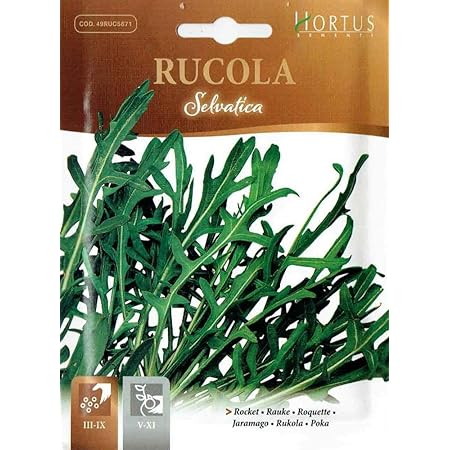 Amazon Hortus社種子 Art 5671 ワイルドルッコラ 野菜