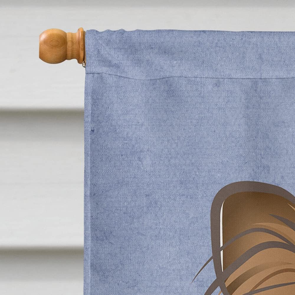 Caroline's Treasures BB1434CHF Papillon Welcome House Flag, Blue Large Porch Sleeve Pole Decorative Outside Yard Banner Artwork Wall Hanging, Polyester, House Size, Multicolor