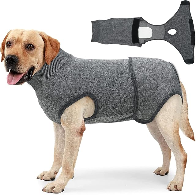 Vanansa Dog Recovery Suit, Breathable Dog Surgery Recovery Suit Protect Wound Anti Skin Diseases, Dog Surgical Suit for Puppy Small Dogs, Grey, XS