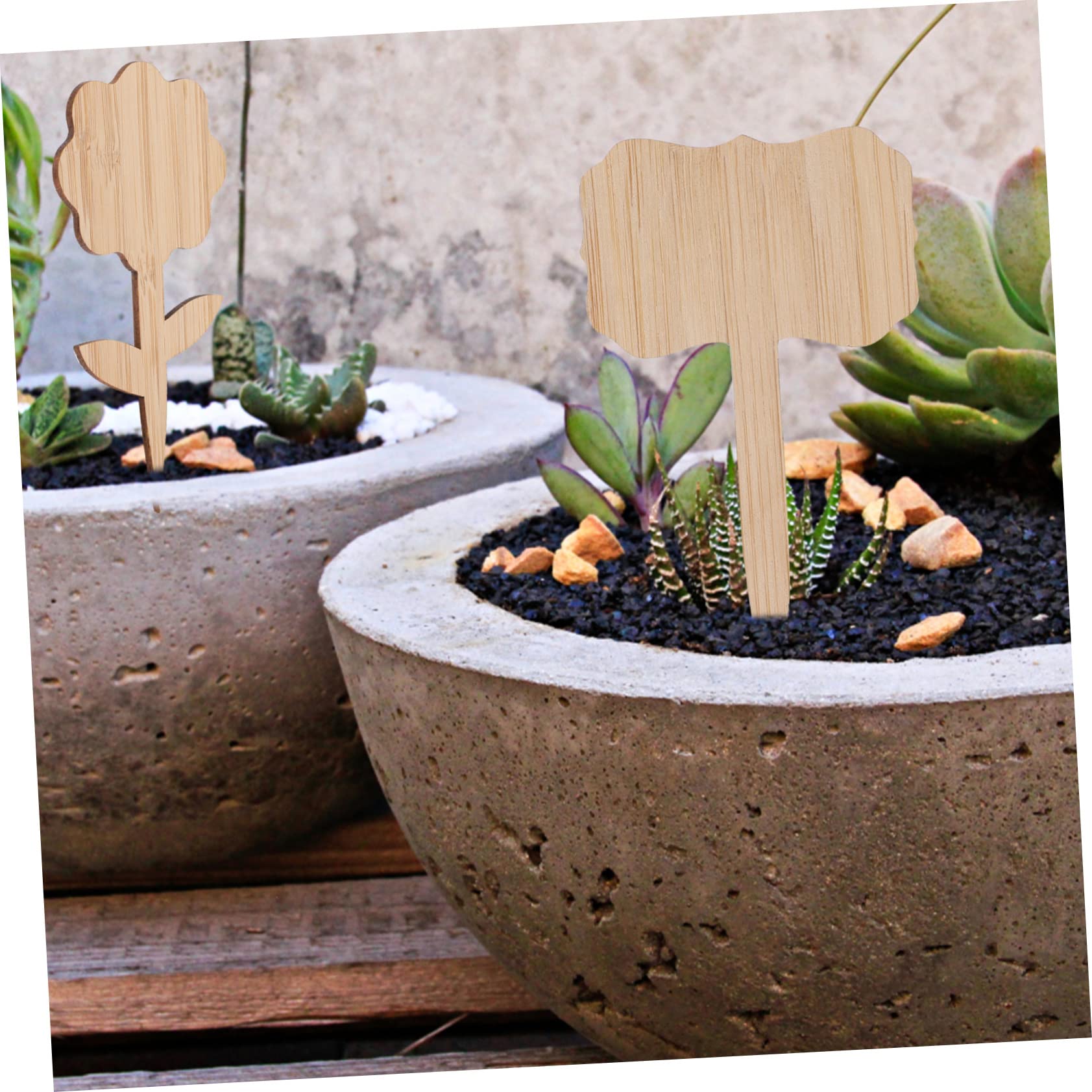 BESPORTBLE Lot De 4 Étiquettes Pour Plantes De Pépinière Étiquettes Naturelles Faciles À Installer Pour La Décoration De Jardin 40 Pièces X 4